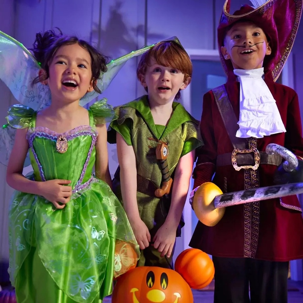 Tinker Bell Kids Costume